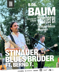 Die Stinauer Blues Brüder feat. Bernd T.